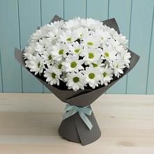 Букет цветов из:  Хризантемы #REPLACE_PRED# Чернышковский