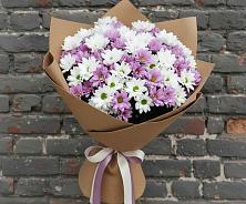 Букет цветов из:  Хризантемы #REPLACE_PRED# Чернышковский