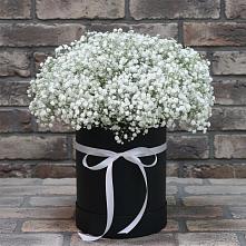 Цветочная композиция из Гипсофила в шляпной коробке в Чернышковский
