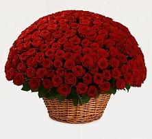 Премиум букет из: Розы в Чернышковский